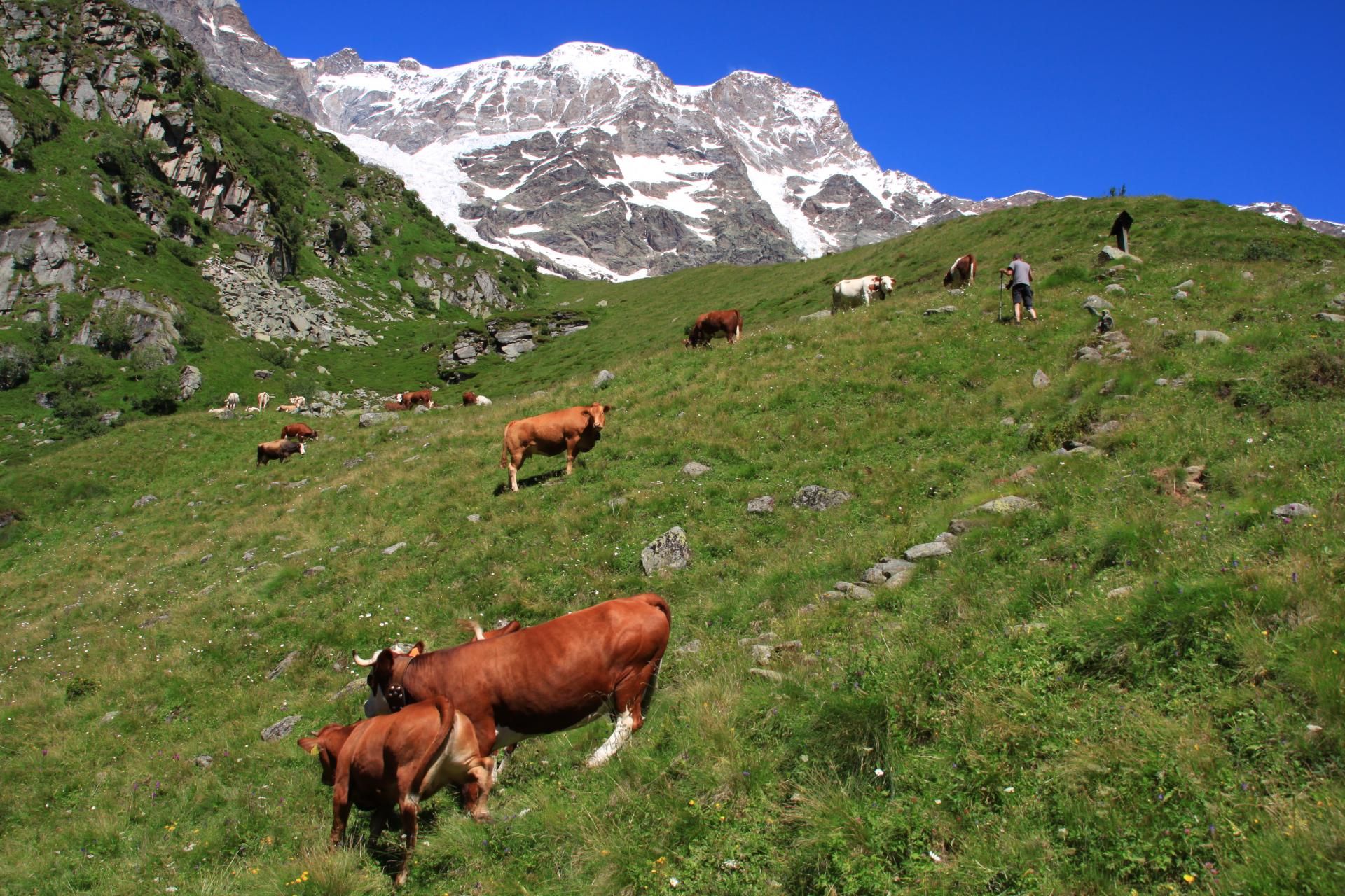 016 - Alpe Bors e rifugio Crespi Calderini, sullo sfondo il Monte Rosa.JPG